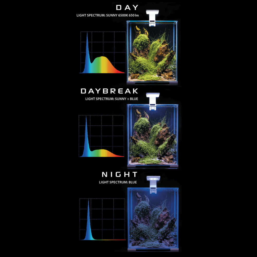 Aquael Day & Night 30L Shrimp Tank Set - Image 4