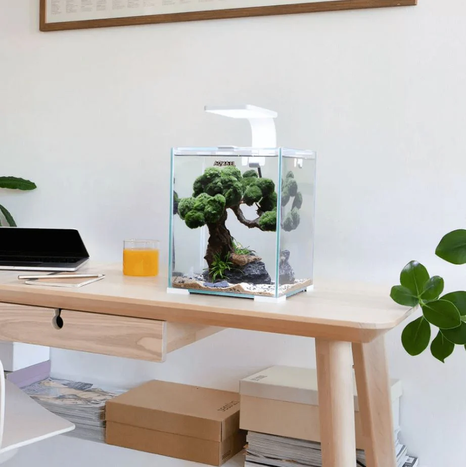 Aquael Day & Night 30L Shrimp Tank Set - Image 5