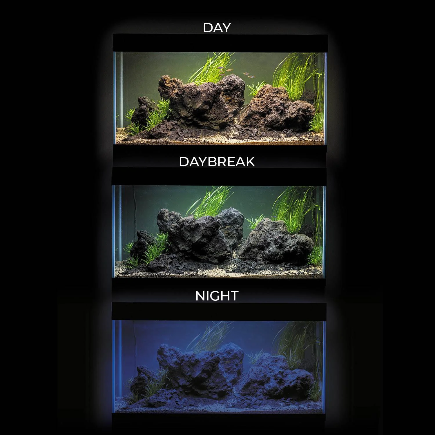 Aquael Ultrascape 60 Optiwhite Aquarium Set - Image 17