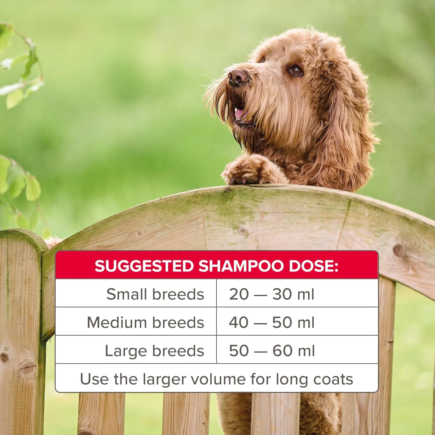 Beaphar Insecticidal Flea Shampoo 250ml - Image 5