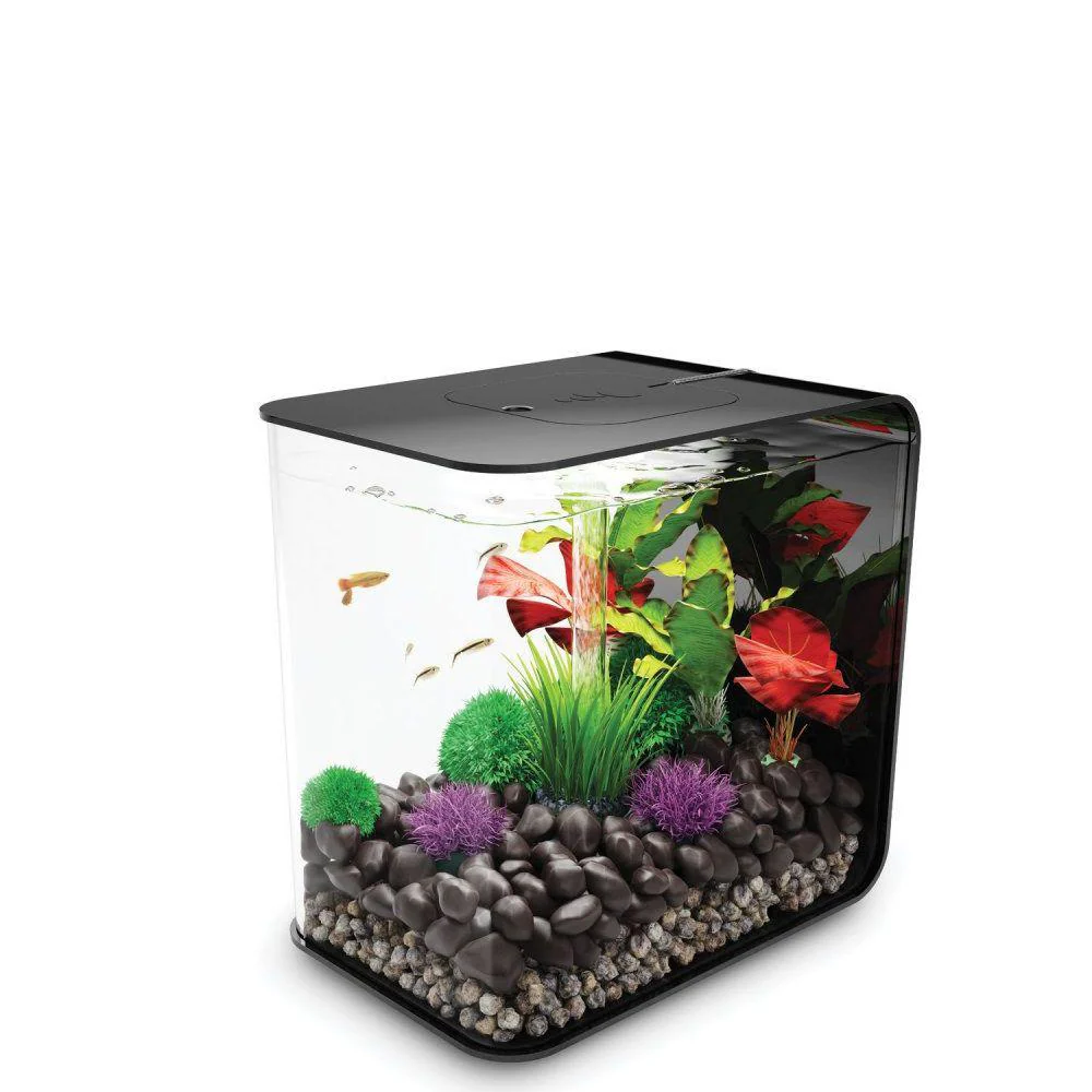 biOrb Flow 30L Aquarium Kit with LED & Filter - Image 3