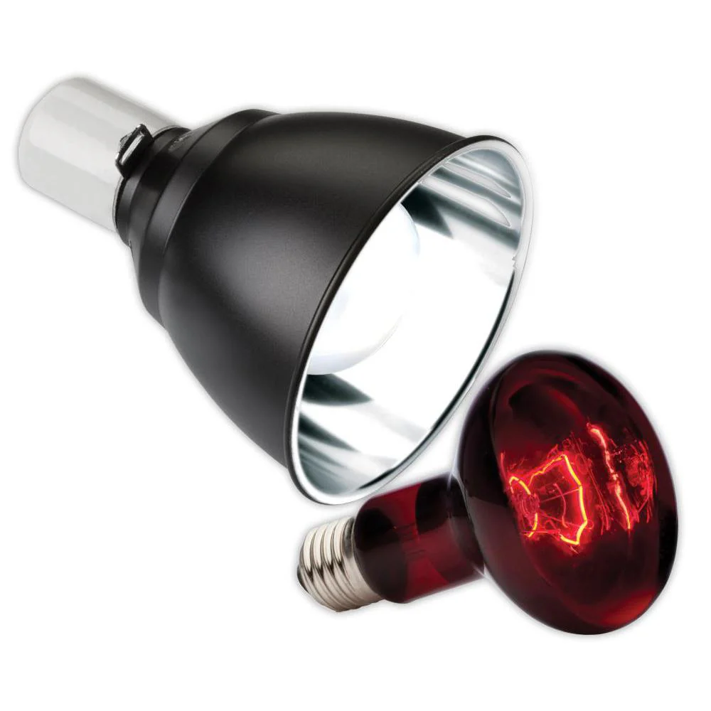 Exo Terra Infrared Heat Lamp Dome Combo - Image 4