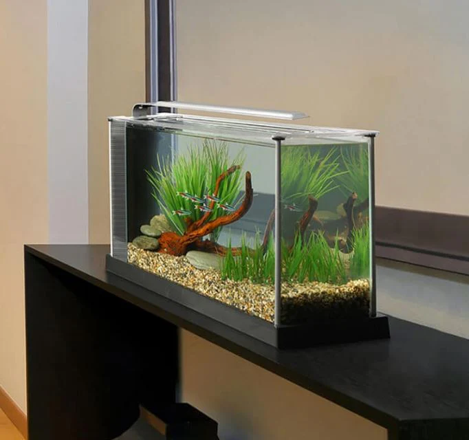Fluval SPEC 19L Nano Aquarium with 7000K LED & 3-Stage Filtration Black - Image 4
