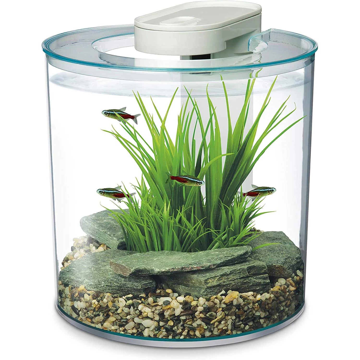 Marina 360 Aquarium with LED remote - Image 7