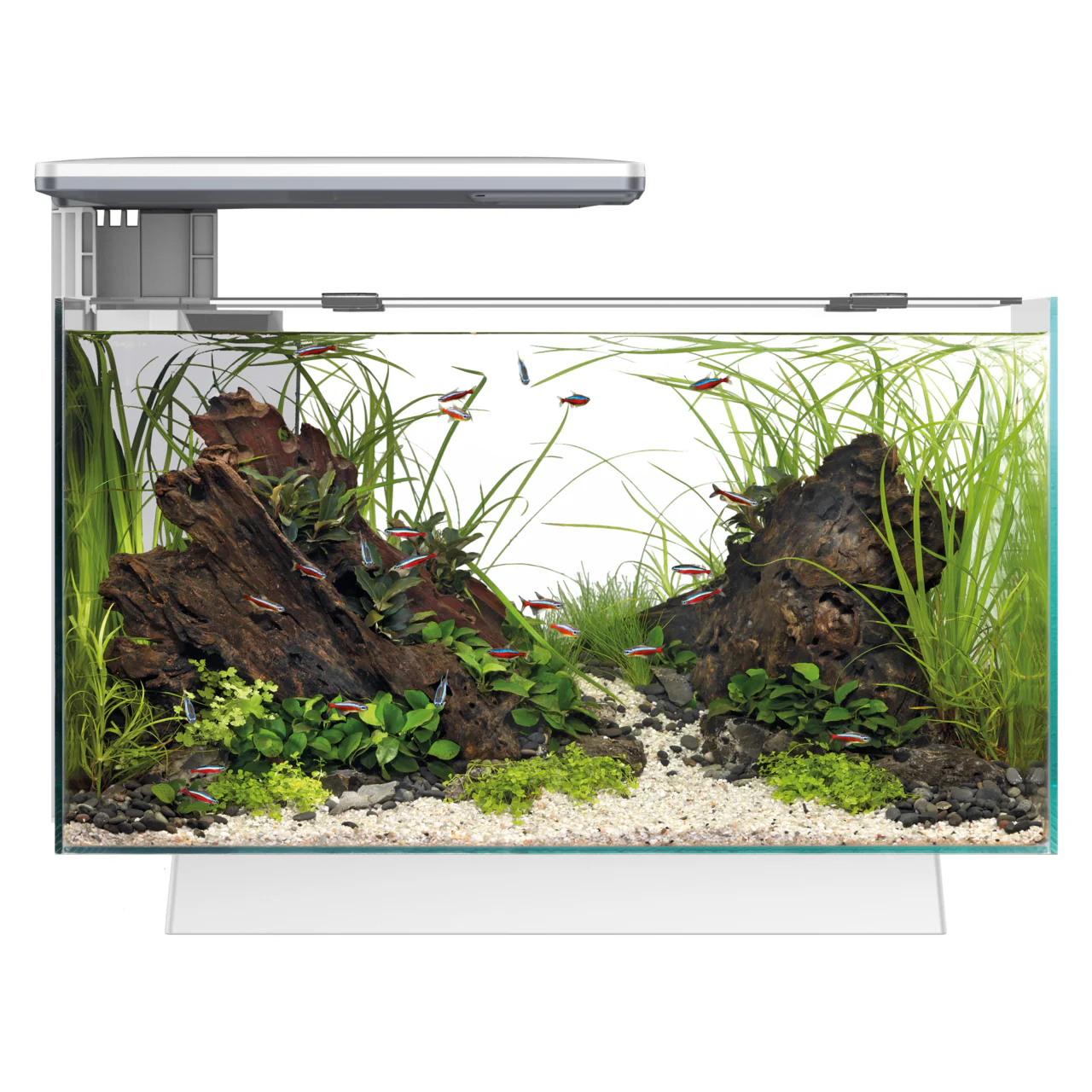 Superfish Quadro 40 Multi-Colour Aquarium with Cabinet - Image 11