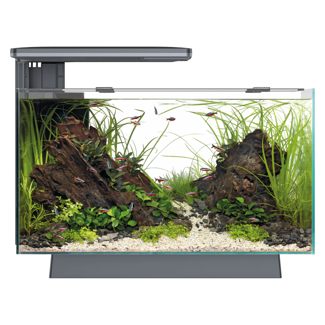 Superfish Quadro 40 Pro Aquarium with Cabinet - Image 7
